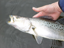 All clear, Coastal fisheries reform group Coastal fisheries reform group
